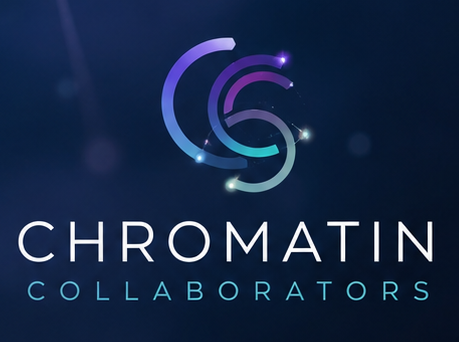 Chromatin Collaborators